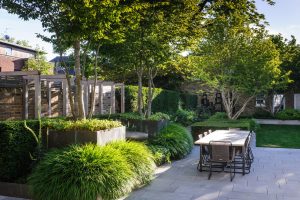 London family garden designed by Harris Bugg Studio