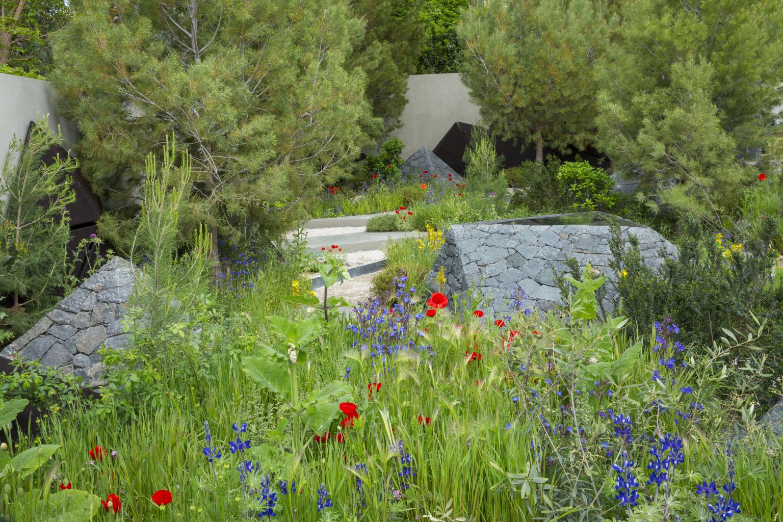 Hugo Bugg's show garden for Chelsea Flower Show 2016