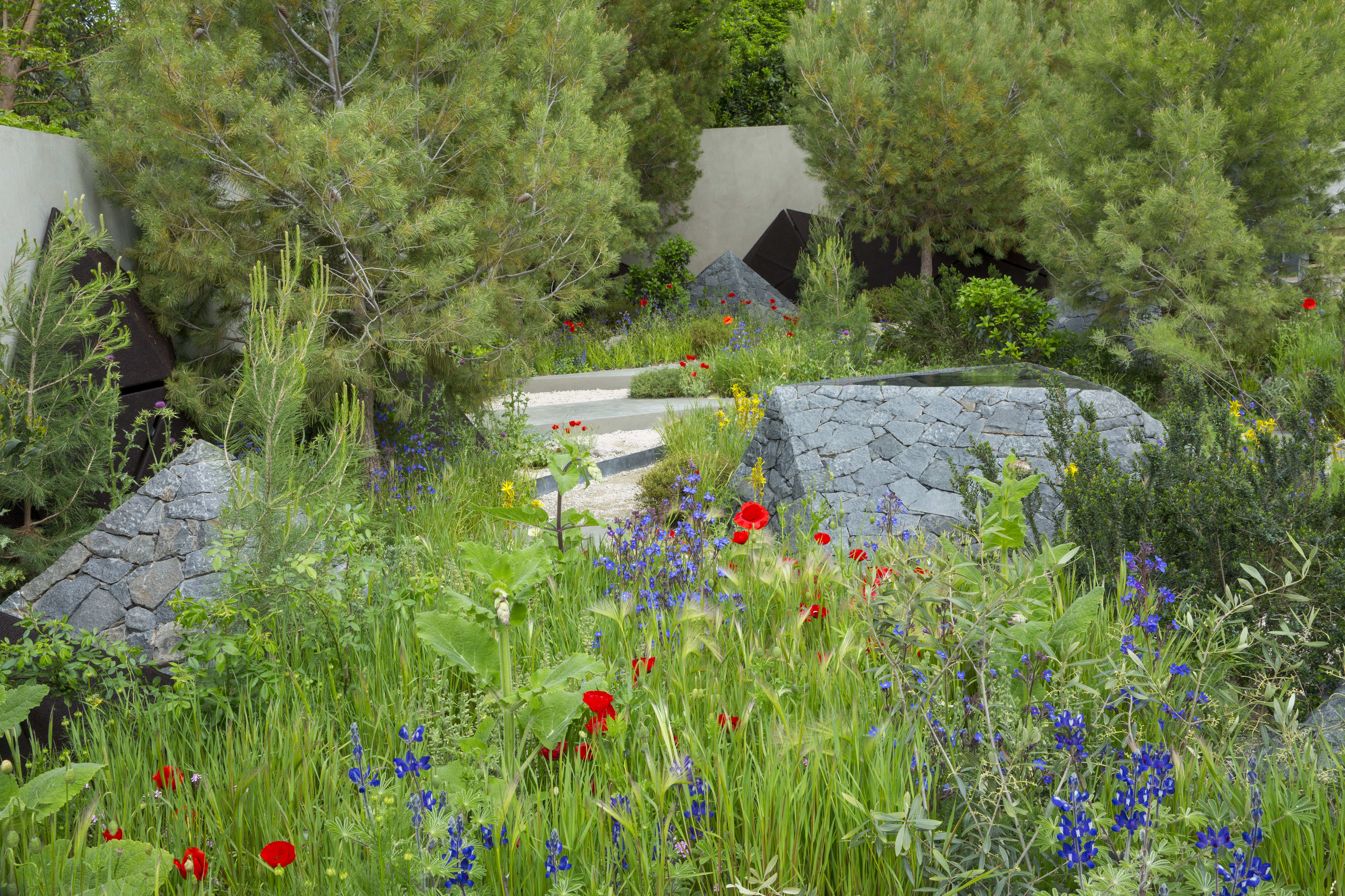 Hugo Bugg's show garden for Chelsea Flower Show 2016