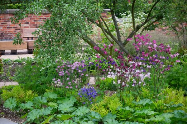 The Kitchen Garden at RHS garden Bridgewater.