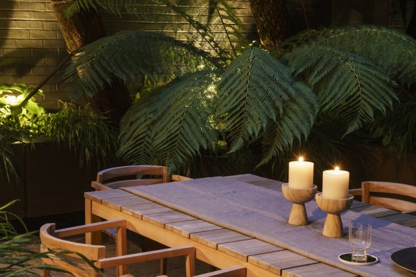 Garden shoot for Harris & Bugg garden design, London August 2023 UK
